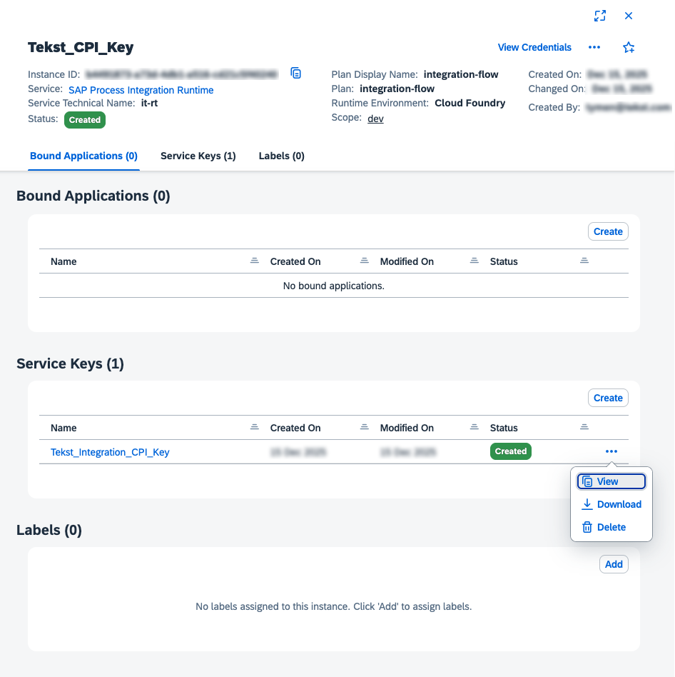 Service key details showing JSON credentials including client ID, client secret, token URL, and runtime URL